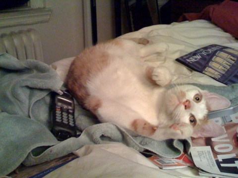 photo a good detective consults many sources of information