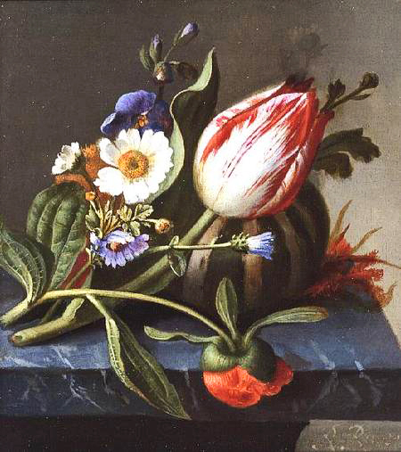 Rachel Ruysch, Amsterdam, 1664-1750