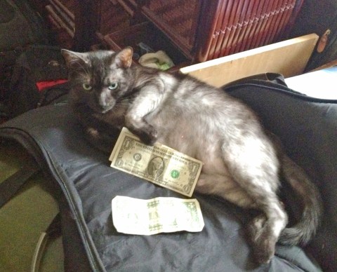 Lola guarding Charles' money